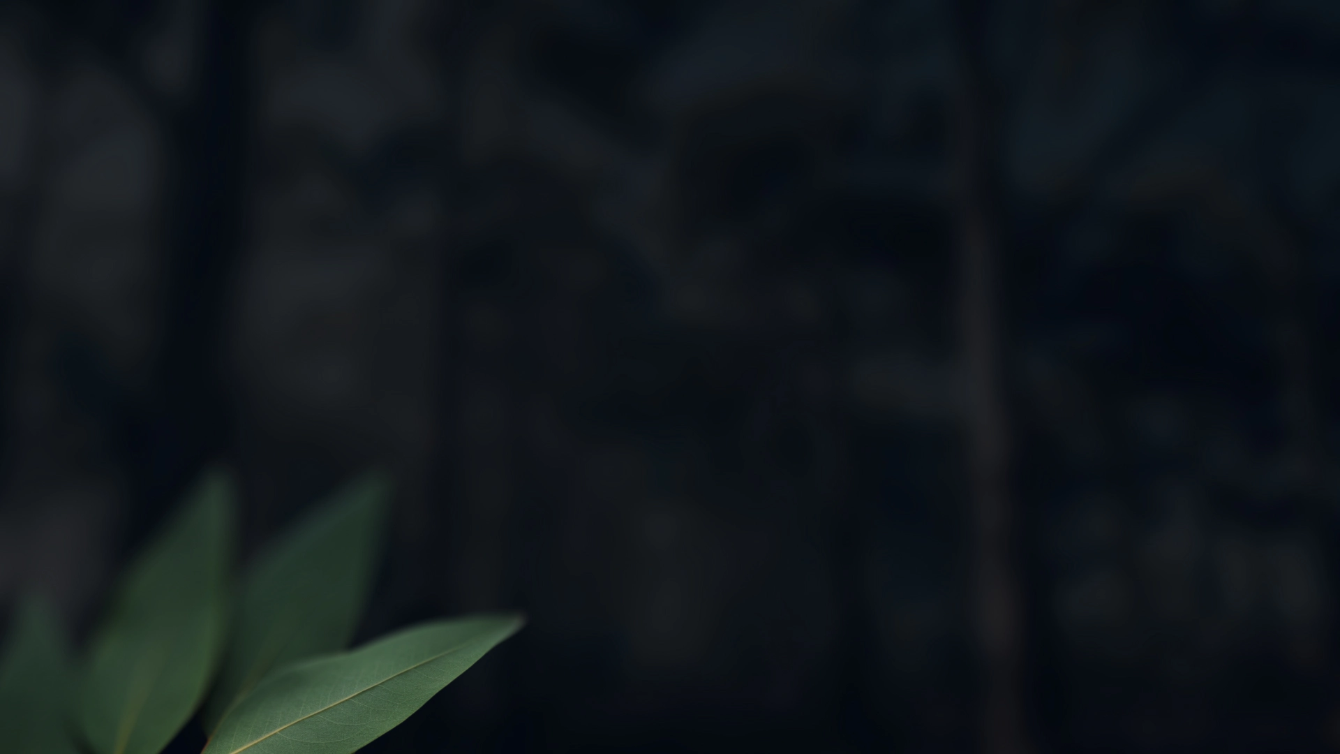 Background Desktop